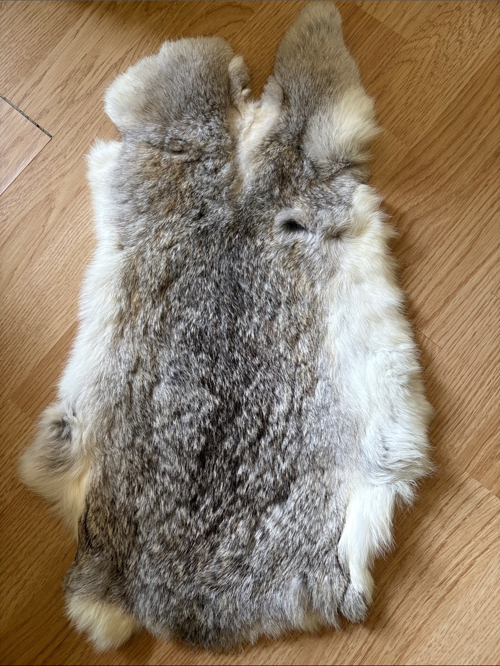 B0116 rabbit pelt